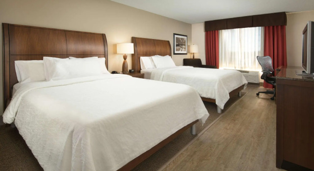 Четырёхместный номер Standard Hilton Garden Inn Chattanooga/Hamilton Place
