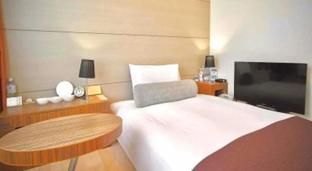 Одноместный номер Tokyo Bay Ariake Washington Hotel