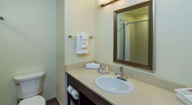 Двухместный люкс Comfort Inn & Suites Terrace