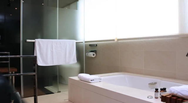 Двухместный номер Premier Hotel Eclat Taipei