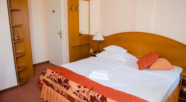 Двухместный номер Standard Hotel Forras
