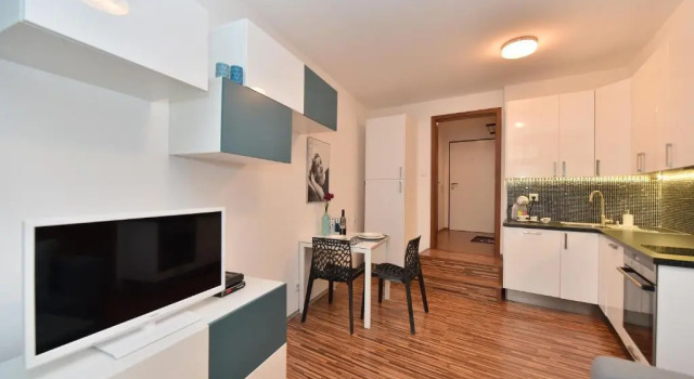 Апартаменты c 1 комнатой Apartments Palmovka