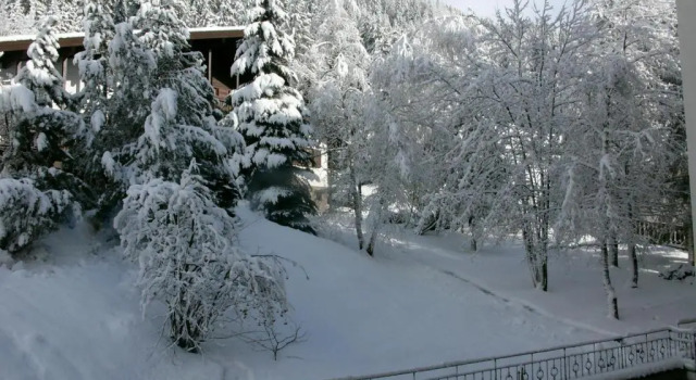 Двухместный номер Superior Hotel Cesa Tyrol