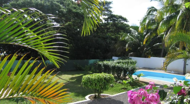 Номер Standard Villa Osumare Rootsy Beach front Guest House B&B
