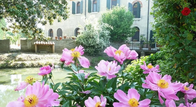 Agriturismo Corte Ceson La Casa Sull'Acqua, Prenota Hotel Gazzo Veronese 