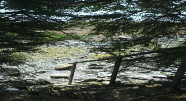 Dow Road Waterfront Cottage - One Bedroom Home, Rezerwuj Dom wakacyjny Deer Isle Stany Zjednoczone