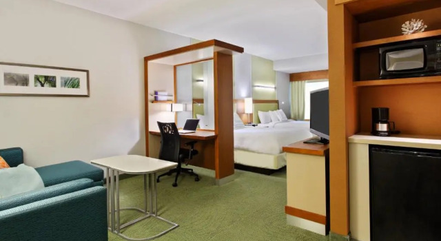 Двухместная студия SpringHill Suites by Marriott Pensacola