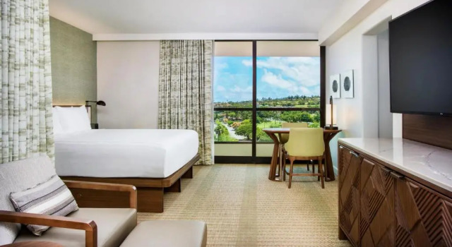 Двухместный номер с видом на океан Hyatt Regency Maui Resort & Spa