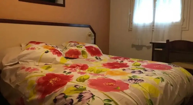 Двухместный номер Classic Hôtel Myosotis