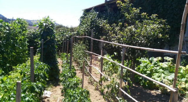 la Casetta della Nonna
