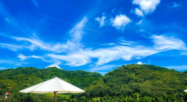 Номер Standard Orchard Home Resort Nam Cat Tien