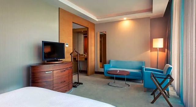 Двухместный люкс Superior Mercure Istanbul Umraniye