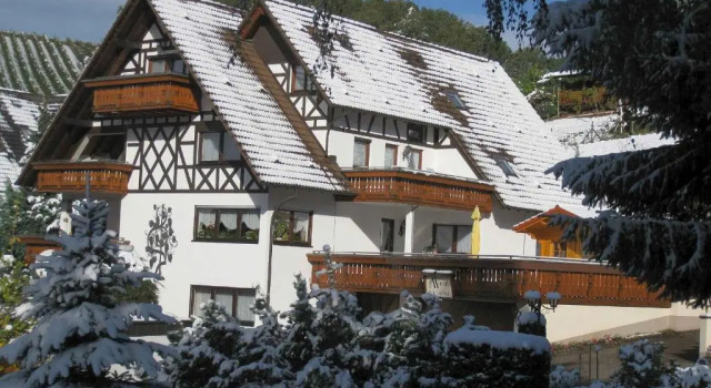 Апартаменты Haus Bachmatt
