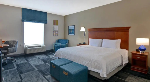 Люкс Hampton Inn & Suites Birmingham-Hoover-Galleria
