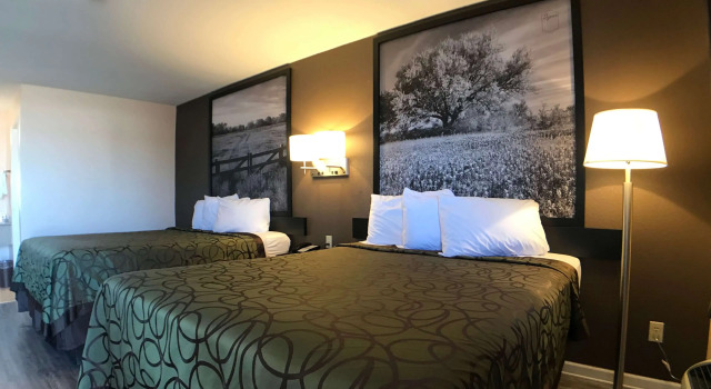 Super 8 by Wyndham Terrell, Prenota Locanda Terrell 