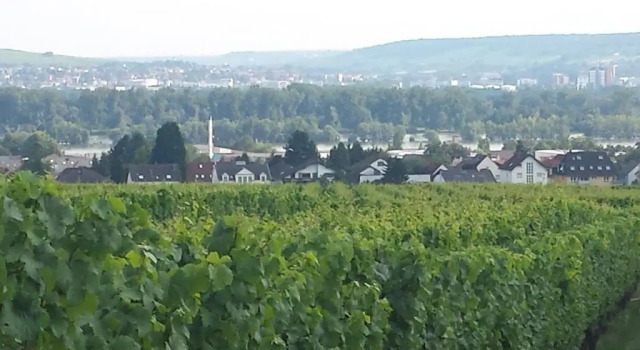 Апартаменты Ferienwohnung Weingut Leis