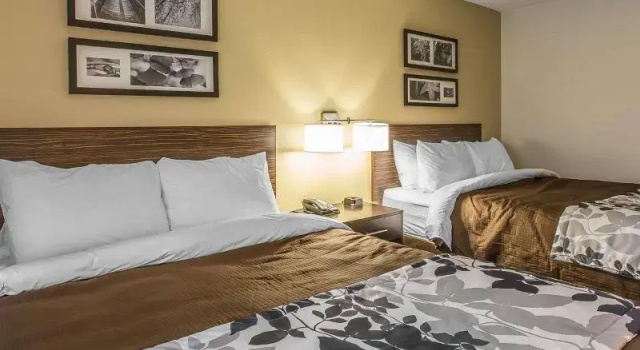 Четырёхместный номер Standard Sleep Inn & Suites Jasper I-22