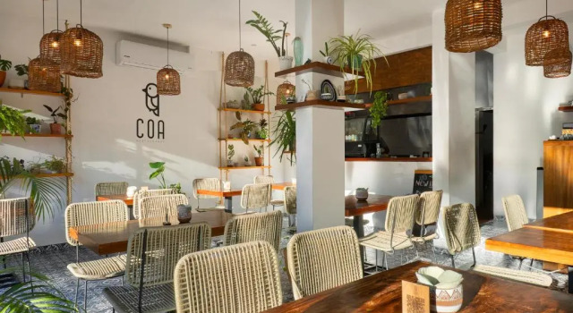 Двухместный номер Deluxe Terrasse Hotel Playa del Carmen