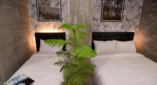 Трёхместный номер Standard Big Banana Hotel