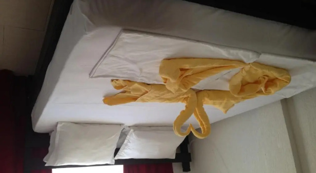 Студия Deluxe Zoya Guest House