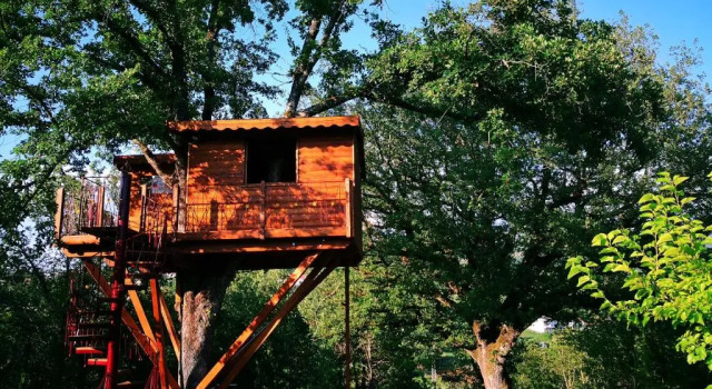 Номер Deluxe Casa sull'albero Bocchineri