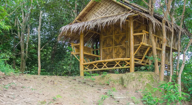 Wichai's Jungle Home Stay, Rezervovat Hotel Ban Na San Thajsko