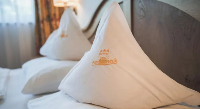 Двухместный номер Economy с балконом и с видом на горы Hotel Am Sonneck