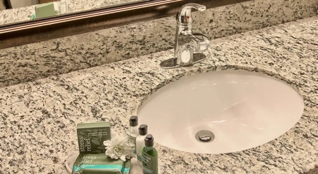 Одноместный люкс Business Blossom Hotel & Suites Traverse City