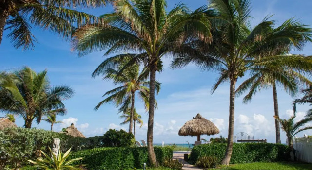 Коттедж High Noon Beach Resort