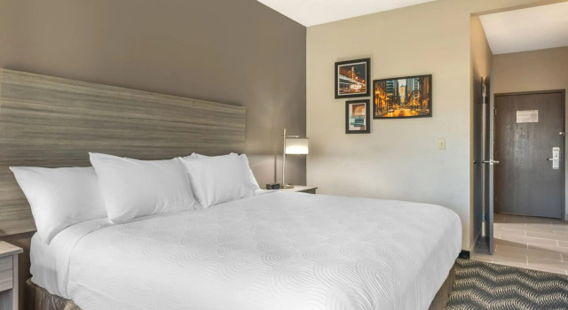 Country Inn & Suites by Radisson, Bolingbrook-Romeoville, I-55, Забронировать Отель Отели Болингбрук 5 звезд, рядом с Rocket Ice Arena, 5*