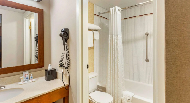 Четырёхместный люкс Comfort Suites Oakbrook Terrace near Oakbrook Center