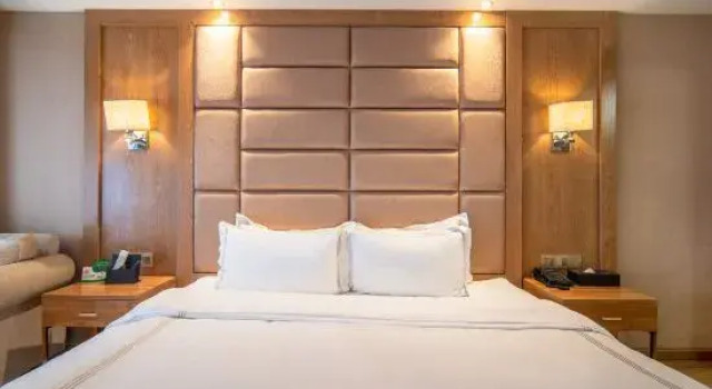 Люкс Business Bolisi Hotel