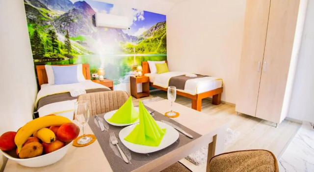 Номер Deluxe Simo apartments airport Podgorica