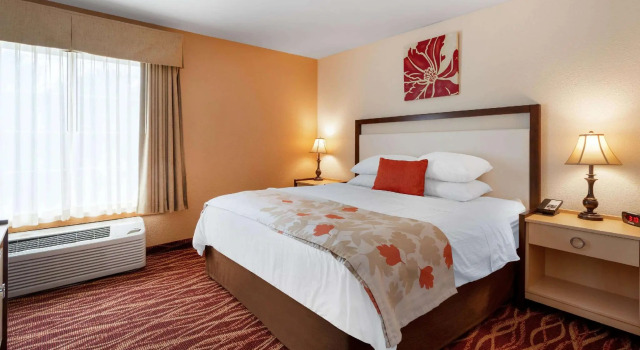Двухместный номер Standard Hawthorn Suites by Wyndham Allentown-Fogelsville