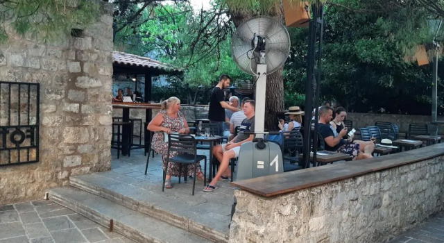 Apartment Petrovica