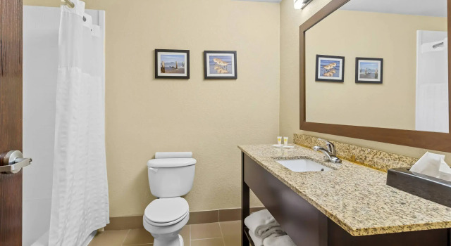 Двухместный люкс Comfort Suites Lake Jackson Clute