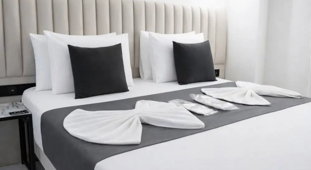 Одноместный номер Deluxe D Twins plus Hotel