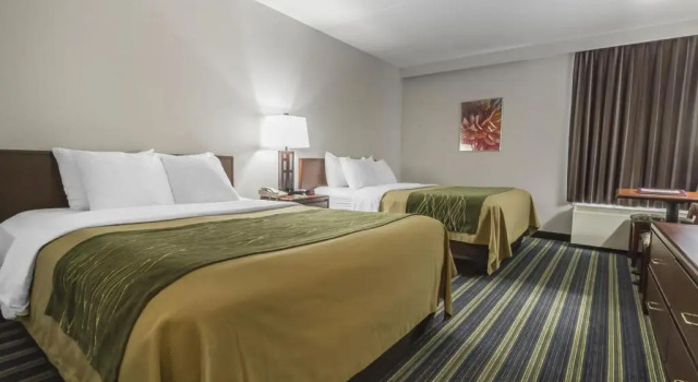 Четырёхместный номер Standard Цокольный этаж Comfort Inn & Suites