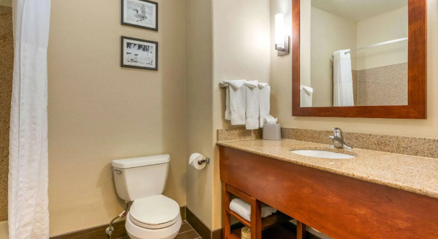 Люкс c 1 комнатой Comfort Inn & Suites Galt - Lodi North