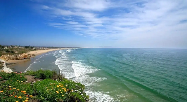 Двухместный номер Standard oceanfront Курорт Pacific Point