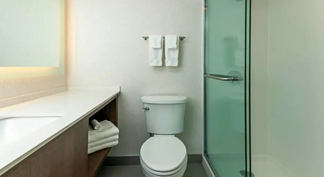 Двухместный номер Standard с балконом Holiday Inn Kingston - Waterfront by IHG