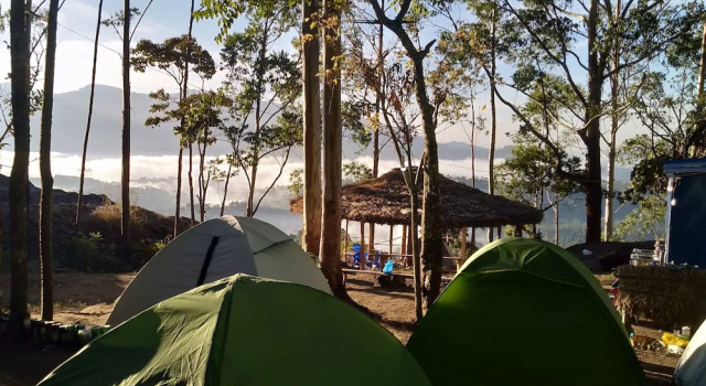 Munnar Jungle Camp, Book Bed and Breakfast Suryanelli New Delhi