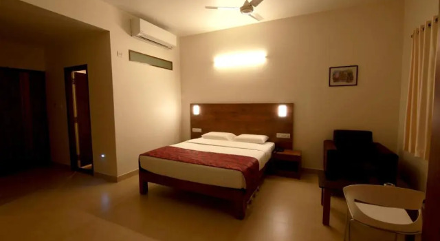 Люкс Deluxe Palguni Residency