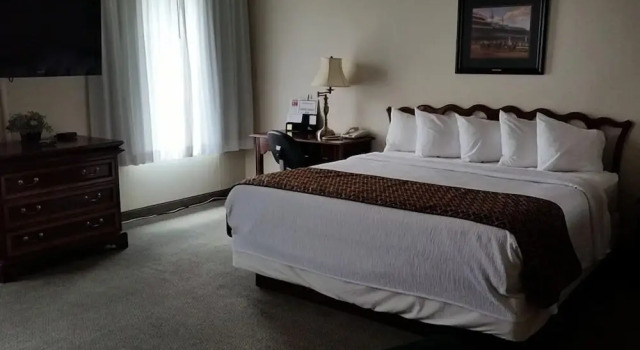 Standard Zimmer GOLD VAULT INN