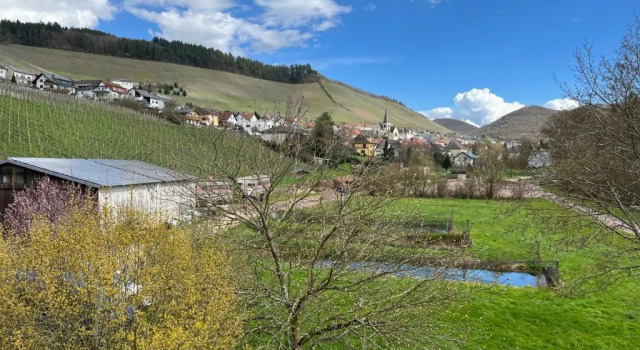 Люкс Weinhotel Restaurant Klostermühle