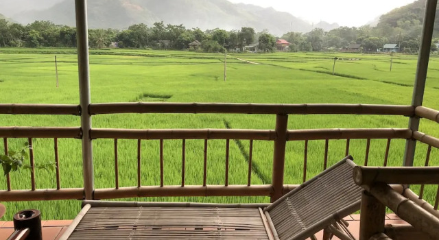 Бунгало Executive Mai Chau Villas