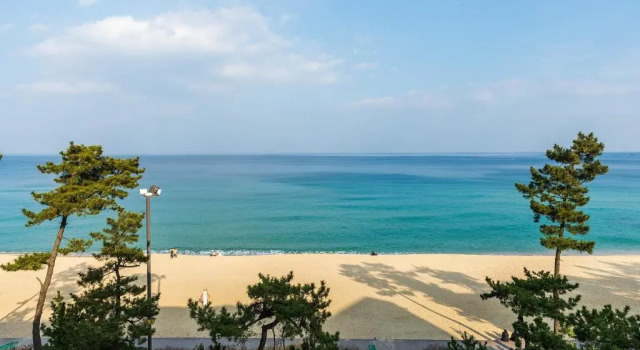 Трёхместный семейный номер Standard с видом на море Gyeongpo Soo Hotel