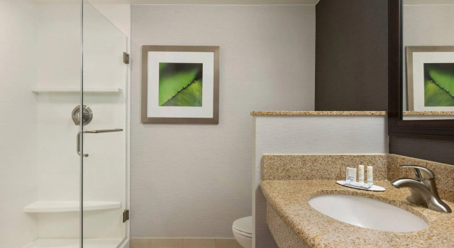 Четырёхместный номер Standard Courtyard by Marriott Greenville