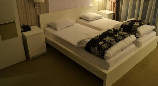 Guesthouse City Central International, Забронировать Отель Отели Скопья 4 звезды, рядом с Saints Cyril and Methodius University of Skopje, 4*