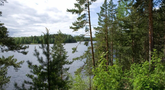 Salkolahti Tivoli, Rezerwuj Hotel Kuorevesi Pirkanmaa